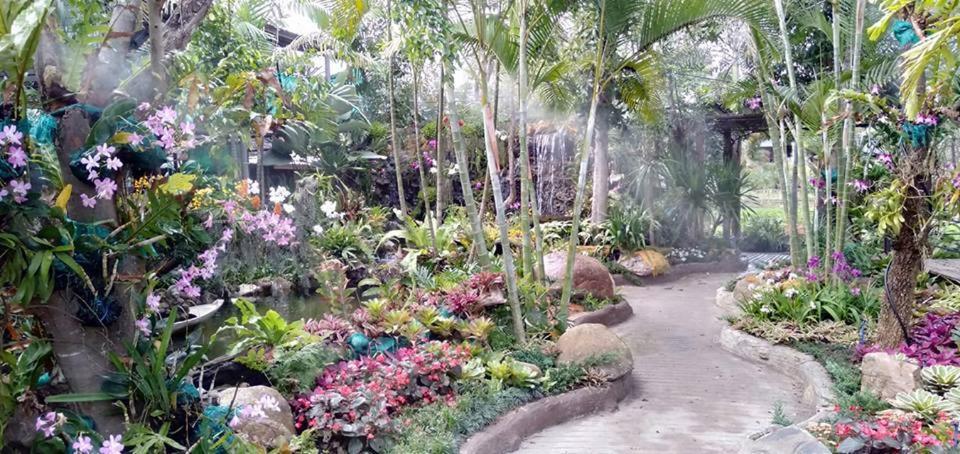 Suanhom Resort Ban Ban San Sai Εξωτερικό φωτογραφία